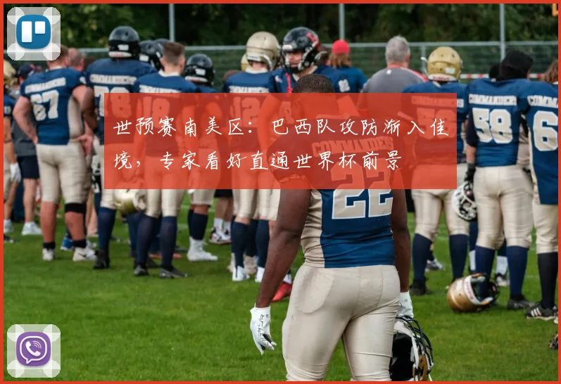 世预赛南美区：巴西队攻防渐入佳境，专家看好直通世界杯前景